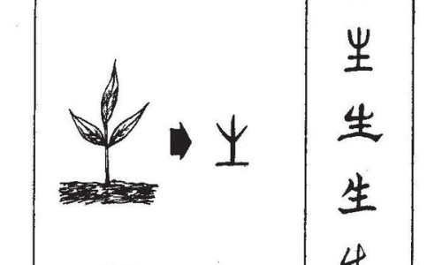 肺血管瘤需要治疗吗多少钱-肺血管瘤的症状与危害网-分享肺血管瘤能自愈吗，肺血管瘤的症状与危害是什么知识库